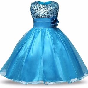 Light blue and grey princess dress